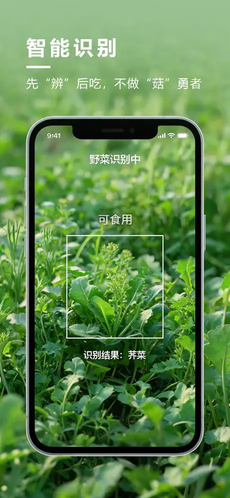 野菜地图功能预览1