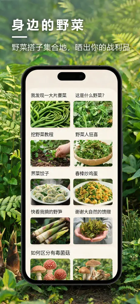 野菜地图功能预览3