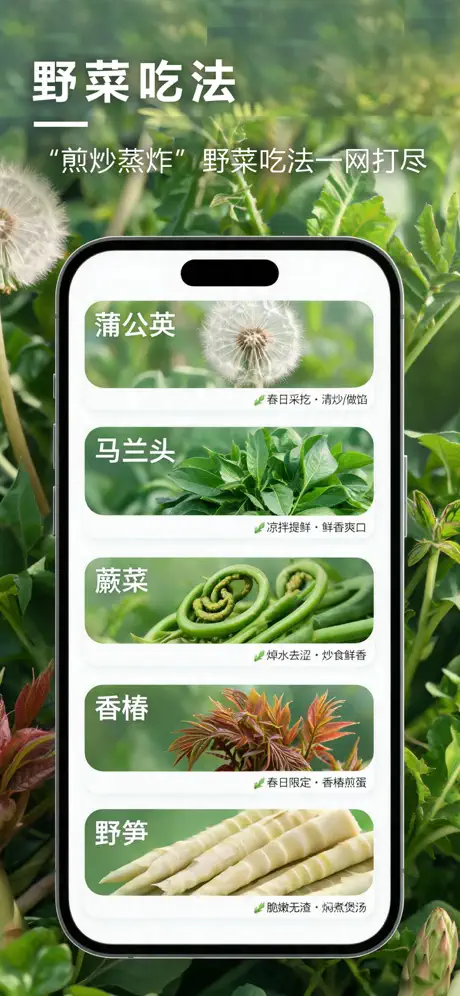 野菜地图功能预览4